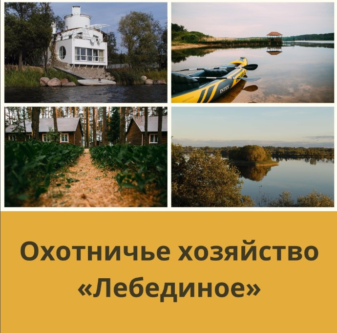 Лебединое.jpg